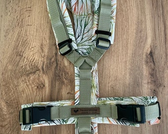 Y- dog harness