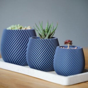 Small Spiral Planter - Plants - Modern - Decor