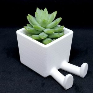 Small Sitting or Standing Succulent Planter