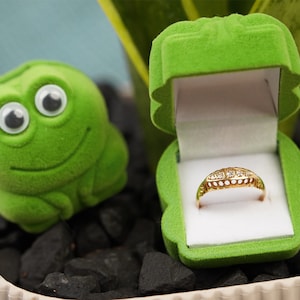 Boîte à bagues grenouille en velours/boîte à pendentif/boîte à boucles d'oreilles, boîte à bijoux pour un amoureux des animaux