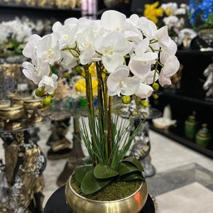 Real Touch Orchids, Orchids in Pot, Potted Orchids, Artificial Flowers, Faux Orchid Arrangement, White Orchid Centerpiece, White Orchid Gift