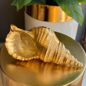 Sea Shell Decoration, Furniture Decor, Handmade Gift, Handmade Sea Shell, Sea Shells Conch, Ocean Decor, Beach Gift, Beach Decor