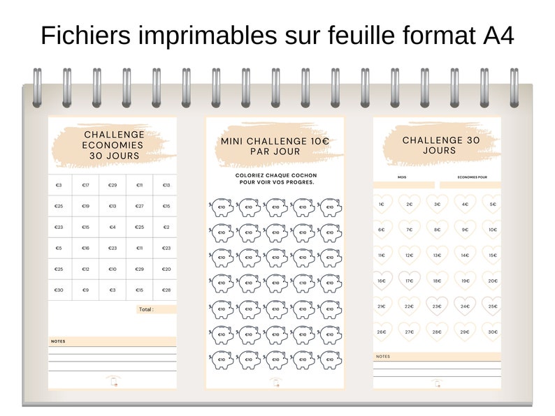 Lot de 3 Fiches Défi Budget en Français à imprimer Format - Etsy France