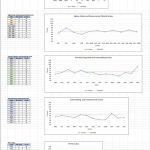 MMPI-3 Autoscoring Template Minnesota Multiphasic Personality Inventory-3 American/English image 4