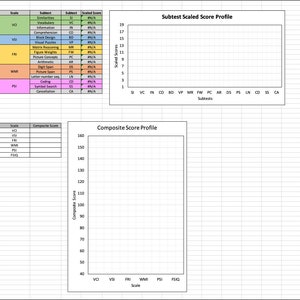 Modèle de notation automatique WISC-V échelle d'intelligence de Weschsler pour enfants Cinquième édition américain/anglais image 6