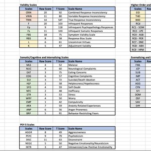 MMPI-3 Autoscoring Template Minnesota Multiphasic Personality Inventory-3 American/English image 3