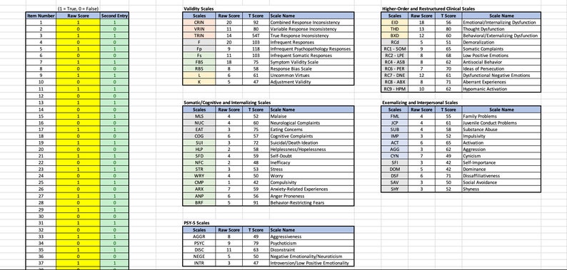 MMPI-3 Autoscoring Template Minnesota Multiphasic Personality Inventory-3 American/English image 3