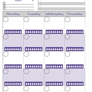 Printable Planner insert bundle for instant download. Undated monthly, weekly spreads to organize and plan your life. Flexible for everyday image 5