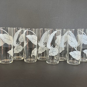 Set of 8 Mid-Century Drinking Glasses Frosted Flower Design