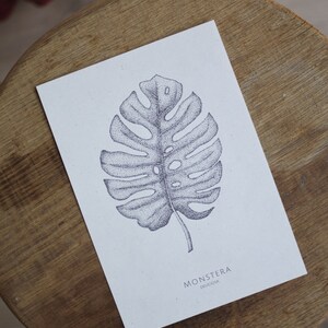 Könnte beinhalten: Eine Schwarzweißillustration eines Monstera Deliciosa Blattes, gezeichnet mit kleinen Punkten. Das Blatt ist groß und hat eine charakteristische Form mit Löchern.