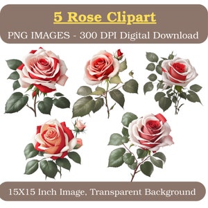 Garden Clipart Roses Pack | 5 Pink Flowers Watercolor | 15X15 Inch PNG 300 DPI | Commercial Use