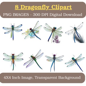 Aquarel Dragonfly Clipart-collectie | 4 x 4 inch PNG-300 DPI | Commercieel gebruik