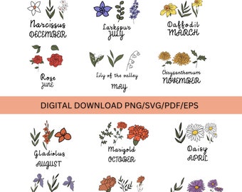 Kolorowe KWIATY MIESIĄCA URODZIN Svg, Kwiaty polne svg, Kwiat urodzinowy, Clipart kwiatowy, Botaniczny svg, Flora, Stokrotka svg, Róża svg, Mak svg, Sztuka
