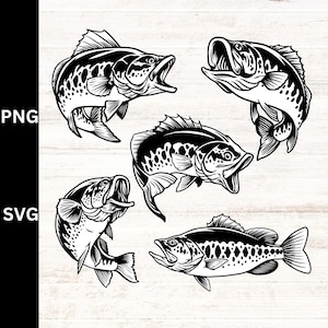 May include: Black and white line art illustrations of four bass fish. The fish are in various poses, with their mouths open and their fins spread out.