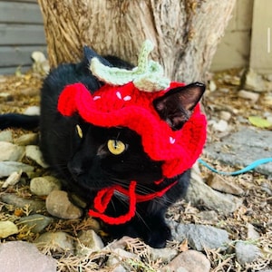 Crochet Pet Bucket Hats