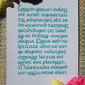 Servicio personalizado de escritura de cartas de caligrafía medieval manuscrita