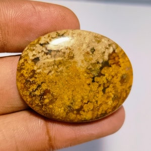 以下が含まれることがあります： 茶色、白、黄色のカラーパターンを持つ、丸く研磨されたアゲートのcabochon。石は、さまざまなテクスチャで、ユニークで有機的な外観をしています。