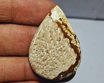 Cabochon di agata di radice di palma: pietra preziosa sfusa per gioielli (35 x 25 mm, 35 carati)