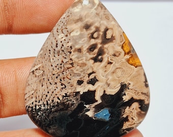 Cabochon di agata di radice di palma: pietra preziosa da 60 carati (44 x 37 mm)