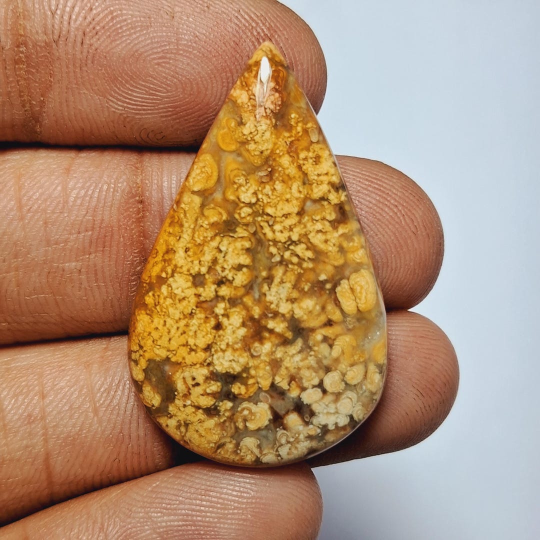 Pendentif En Racine De Palmier Fossile 60 Carats - Cabochon Naturel, Référence AO36, Neuf Avec étiquettes