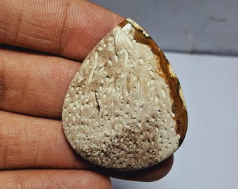 Cabochon di agata di radice di palma: pietra preziosa da 47 carati (38 x 32 mm)