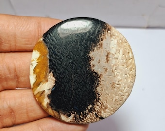 Cabochon di agata di radice di palma: pietra preziosa sciolta da 107 carati (49 x 49 mm)