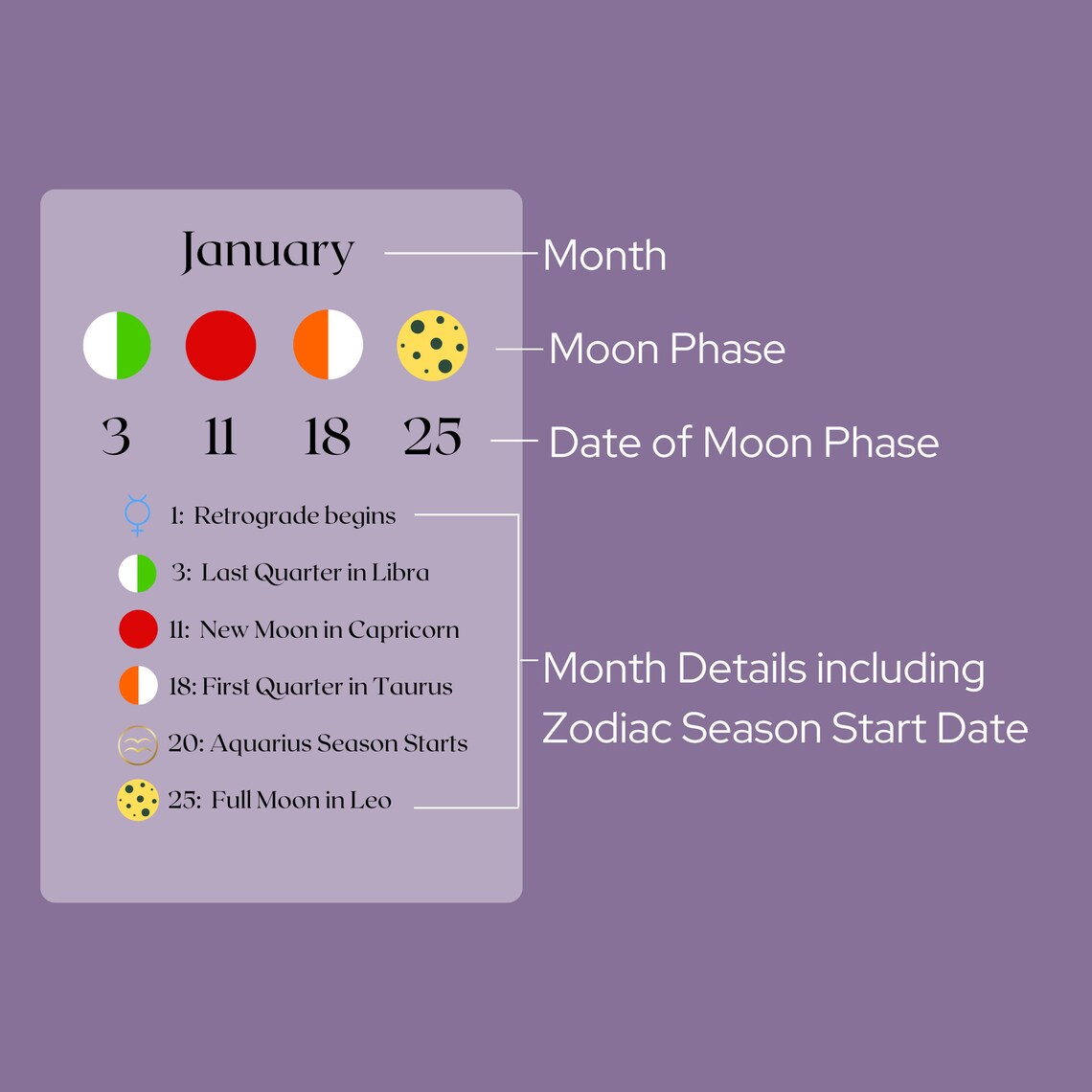 Moon Calendar 2024 Printable Moon Cycle 2024 Moon Calendar Printable