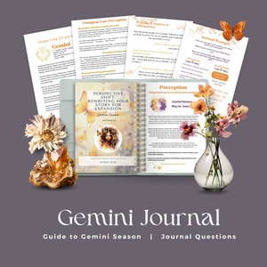 Seizoensjournaal Tweelingen | Perspective Shift-gids (digitale download)