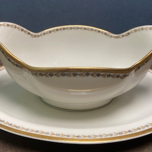 RARE Discontinued Haviland & Co Limoges Schleiger 795 Gravy Boat