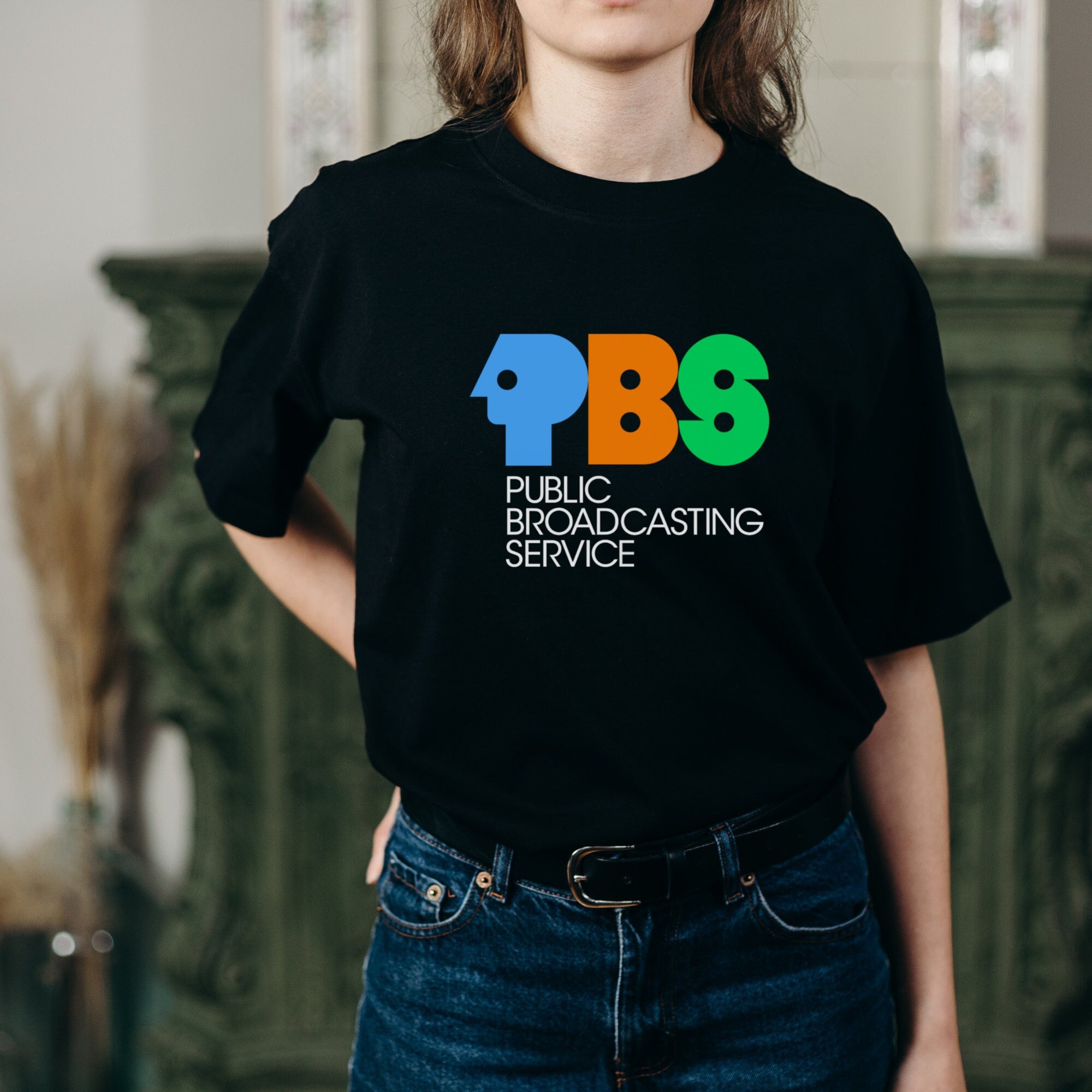 Pbs Pbs Kids Distressed Pbs Pbs Kids Distressed