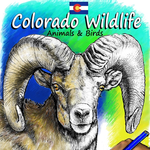 COLORADO WILDLIFE Animals and Birds Illustrations you can Color or Paint Coloring Book by artist Lisa Lynn 42 High Quality Drawings