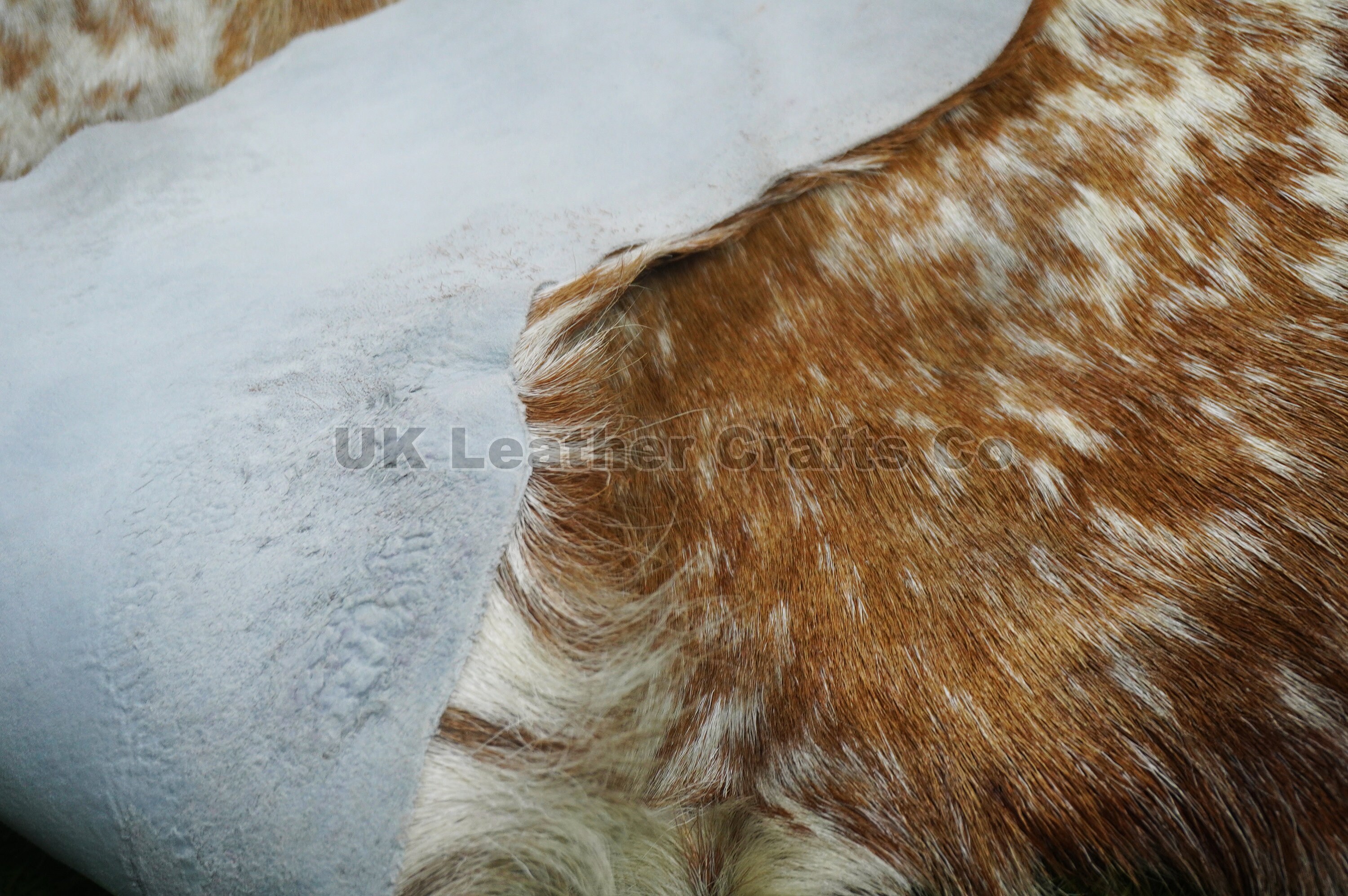 Same as Photo Natural Goat Skin Rug Real Hair on Goat Skin Etsy