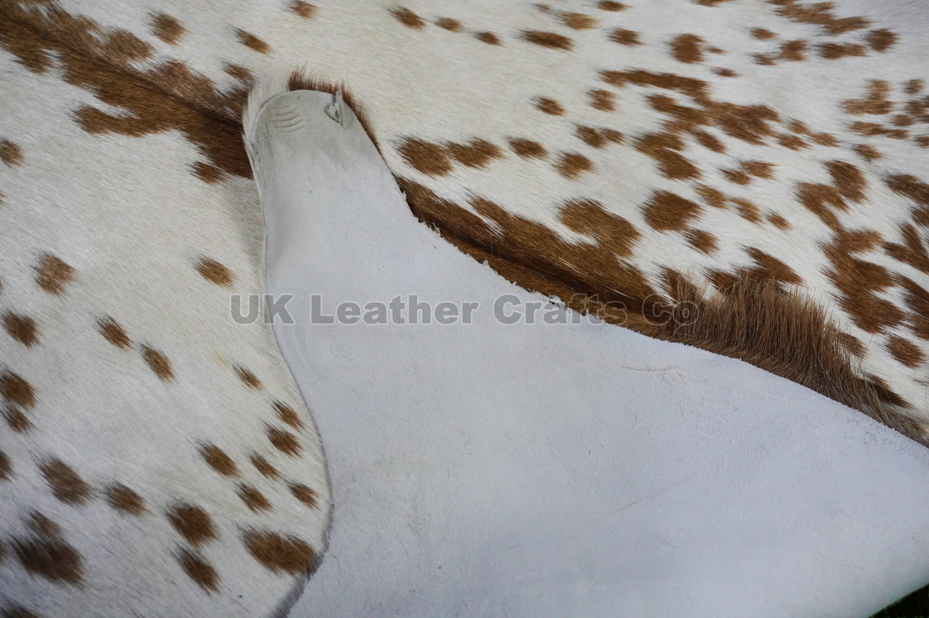 Same as Photo Natural Goat Skin Rug Real Hair on Goat Skin Etsy