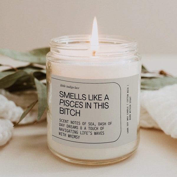 Smells like a Pisces Candle Gift, Funny Pisces Candle, Smells like a zodiac Sarcastic, Pisces Season Container Candle Gift for bestie