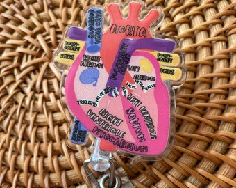 May include: A clear plastic heart-shaped keychain with a detailed anatomical illustration of the human heart. The heart is labeled with the names of the chambers, valves, and other structures. The keychain is attached to a clear plastic badge holder.