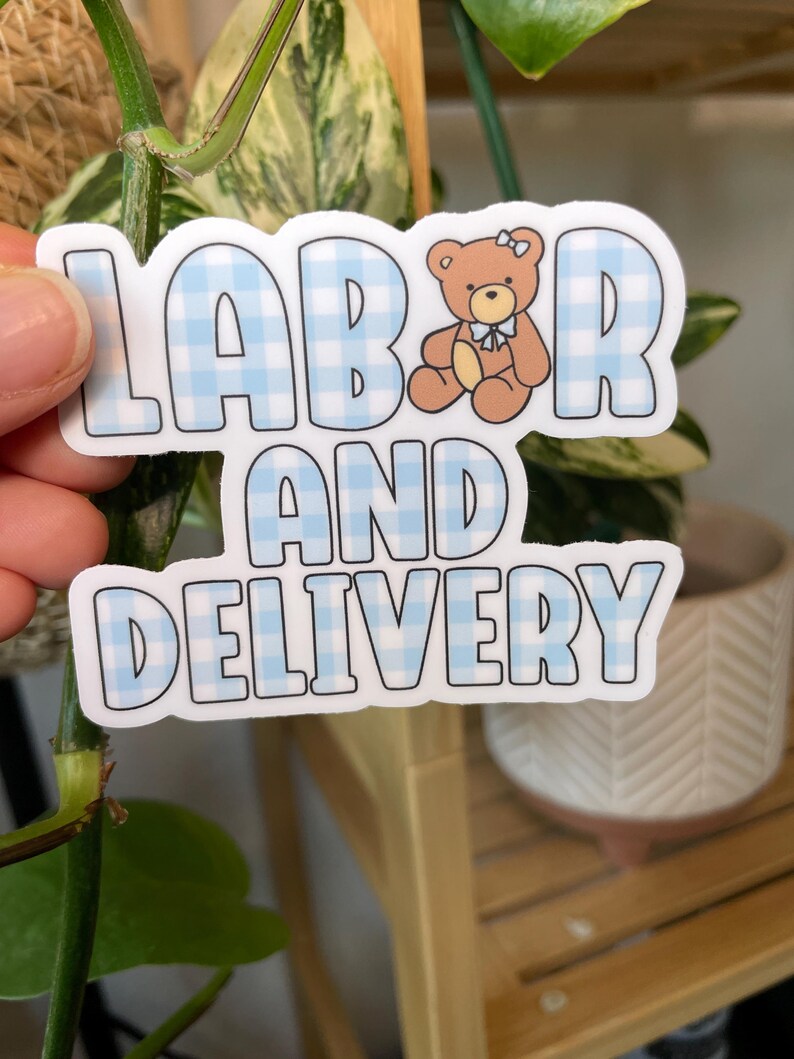 Labor and Delivery Nurse Sticker Cute L&D Nurse Sticker Pink Gingham LD ...