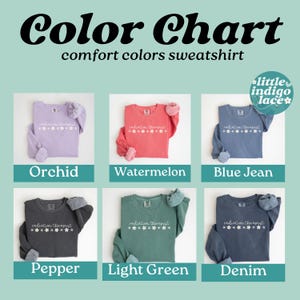 Radiation Therapist Sweatshirt Comfort Colors Radiation Therapy Sweater Gift for Radiation Therapist Grad Minimal Radiation Nurse Sweater image 4