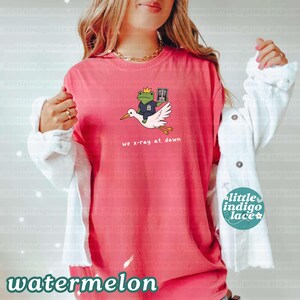 May include: A coral-colored short-sleeve t-shirt featuring a graphic of a green frog wearing a gold crown and a blue medical scrub top, riding a white stork while holding an x-ray. The text below the graphic reads, we x-ray at dawn.