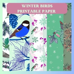 Printable Winter Birds Backgrounds, Digital Paper, Blue And Green