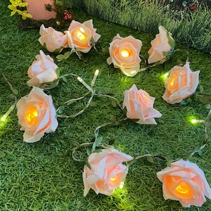 May include: A string of fairy lights with pink rose-shaped bulbs. The lights are strung on a wire and are lit up. The lights are on a green grassy surface.