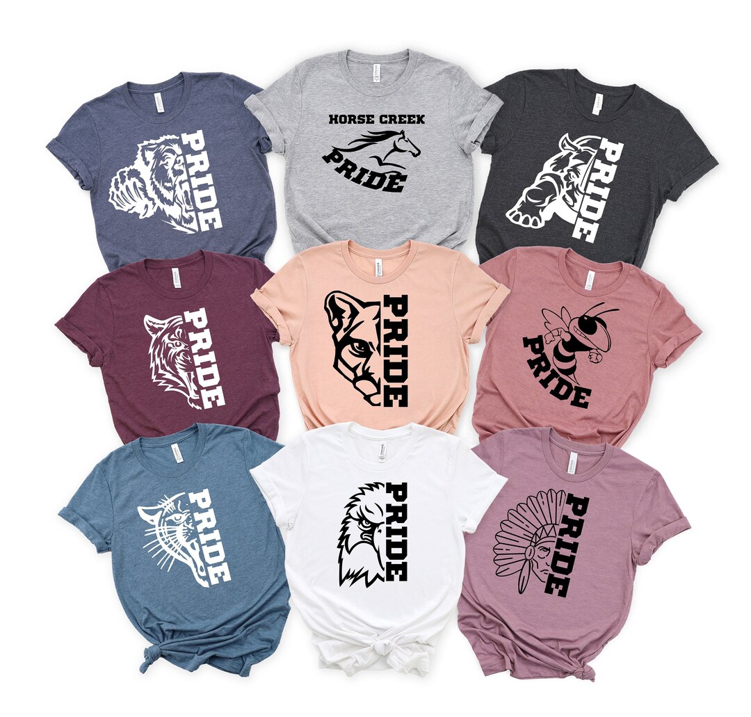 Personalized School Mascot Shirt, High School Team Shirt, School Spirit