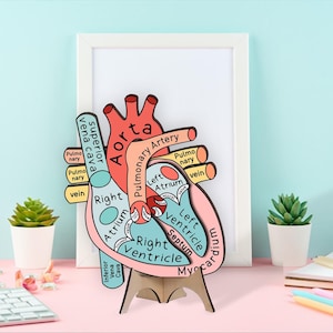 Heart Anatomy Cardiac Nurse Clinic 3D Wood Art, 2 Layer Art Piece Door Sign For Nurse, Cardiologist ER Icu Healthcare Heart Aorta Wood Sign