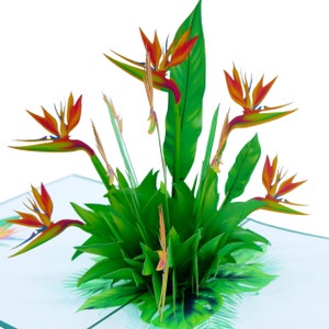 Tarjeta emergente con flores de ave del paraíso, tarjetas 3D, tarjeta navideña, tarjetas de felicitación, tarjeta de regalo de feliz cumpleaños, tarjeta hecha a mano, manualidad de papel,