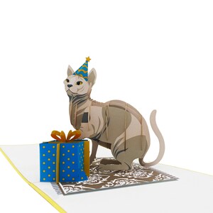 Carte pop-up de chat d’anniversaire, cartes 3D, carte d’anniversaire, cartes de vœux, carte-cadeau de joyeux anniversaire, carte faite à la main, artisanat en papier, carte de fleurs,