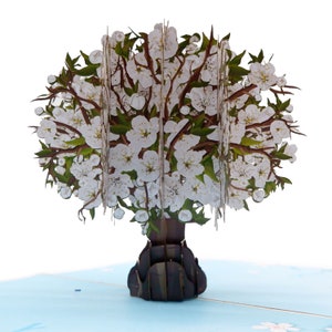 White Cherry Blossom  Pop Up Card, 3D Cards, Christmas  Card, Greeting Cards,Happy Birthday Gift card,handmade card,paper craft,