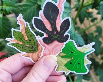 LoZ Koroks 2-3 Inch Vinyl Stickers Botw Totk