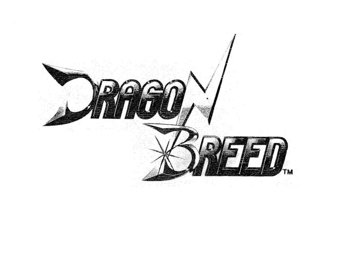 IREM - DRAGON BREED - Pinout cone 1 - Service Manual - Parts Manual - Owner manual -  Pdf Download