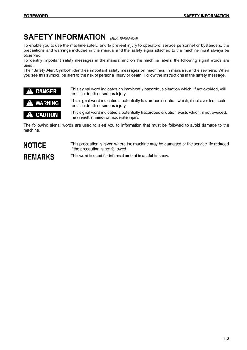 May include: Safety information page with a black and white illustration of a warning sign. The text reads "Danger, Warning, Caution, Notice, Remarks".