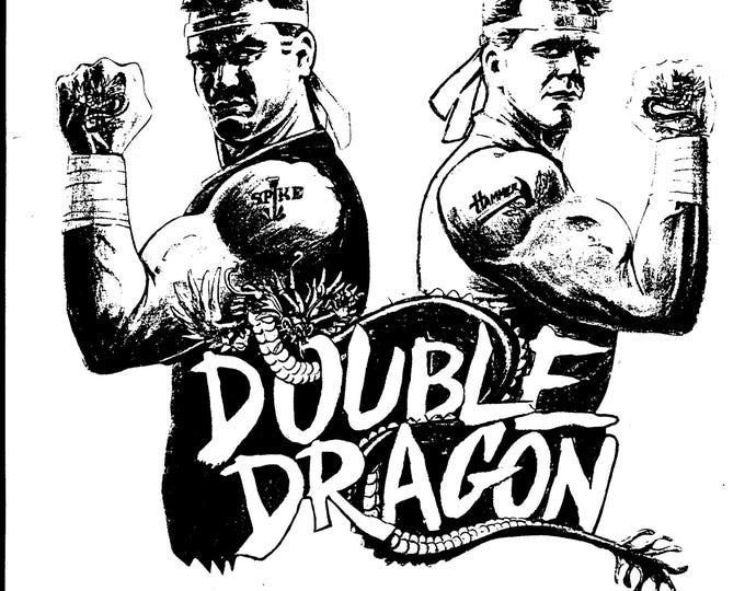 TAITO - DOUBLE DRAGON - Service Manual - Parts Manual - Owner manual -  Pdf Download