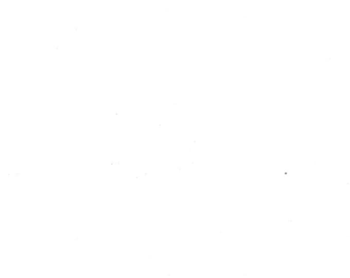 American-Sewing-Machine-Manual-1870 - Service Manual - Instruction Manual -  Wiring Diagram - Operation Manual - Parts List